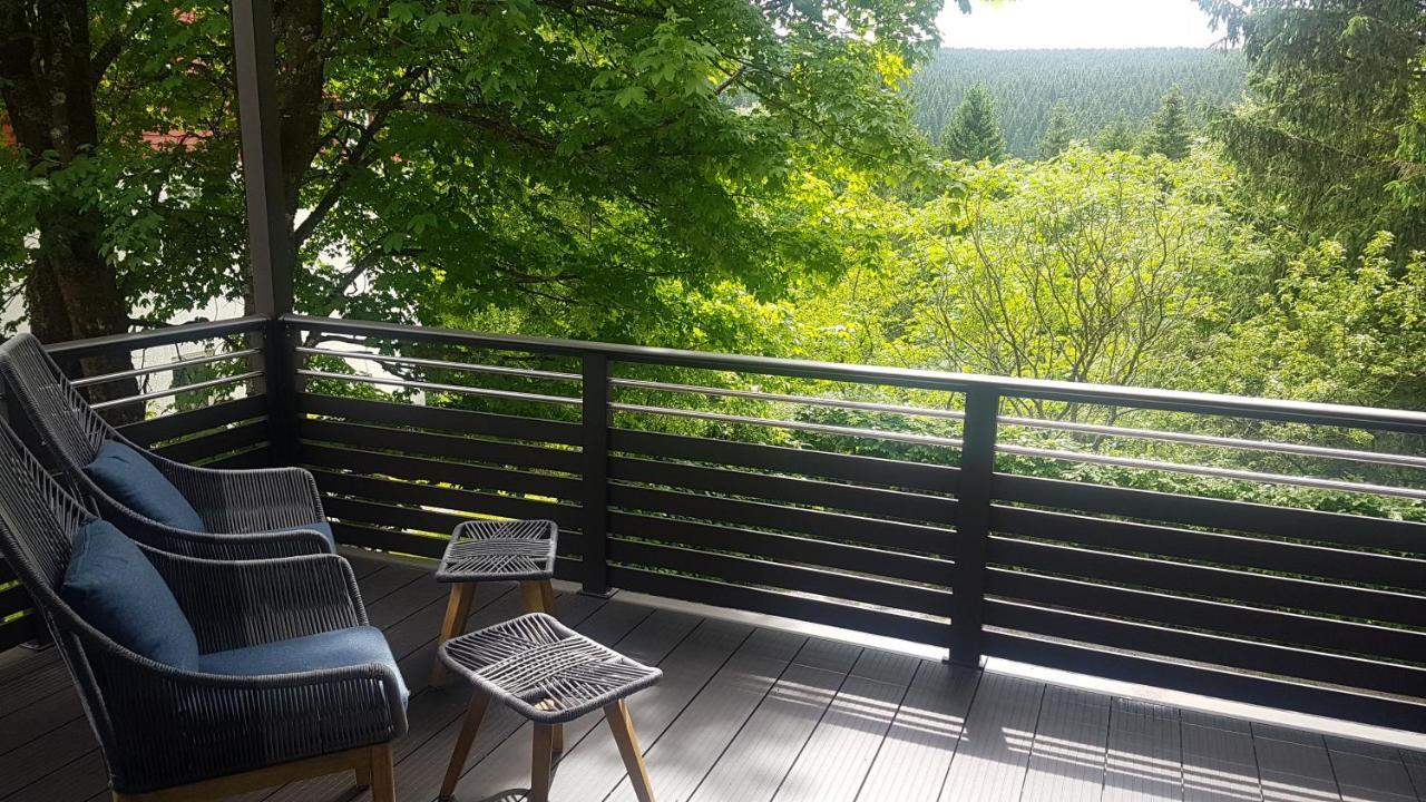 Pension & Ferienwohnung Oberhof 810 M 외부 사진
