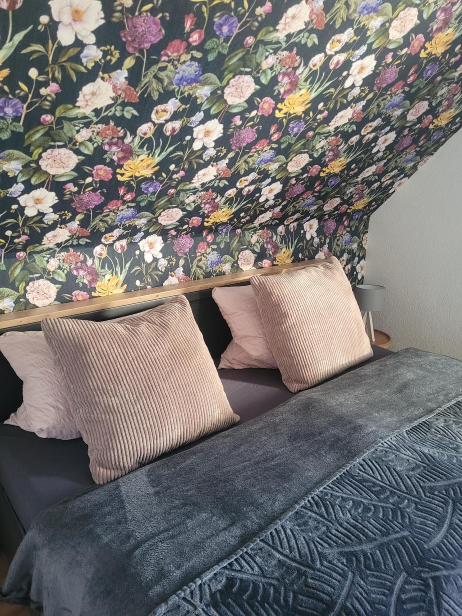 Pension & Ferienwohnung Oberhof 810 M 객실 사진